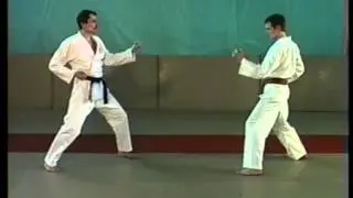 БУДО. Айкидо и Карате. Часть 25.