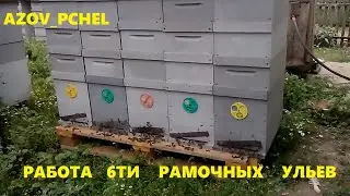 Work of 6 frame hives 