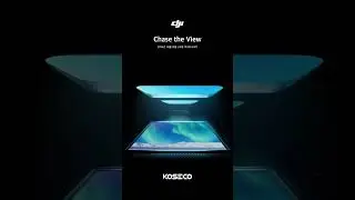 Chase the View | 2024년 10월 15일 | 오후 10시 (KST)