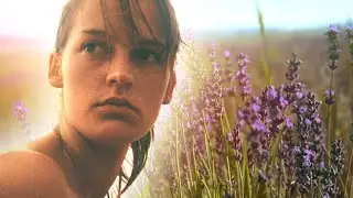 Nanette Scriba - En Provence
