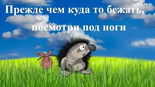 АНЕКДОТ: ЁЖИК (мульт анекдот)