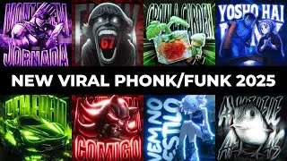 NEW VIRAL FUNK/PHONK 2025 | BRAZILIAN PHONK | PHONK MUSIC 2025
