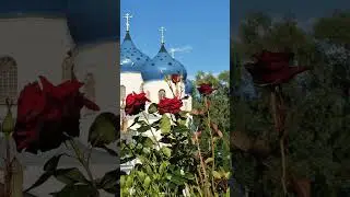 Лучшее в небе