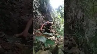 PRIMITIVE HEAVEN WATER