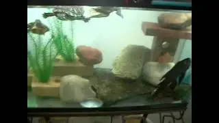 Slow Youtube Uploader