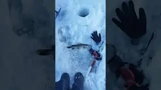 отпустить не получилось, потому что глубоко заглотила. 