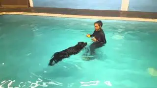 Hydrotherapy for dogs