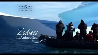 Zodiac Cruising In Antarctica