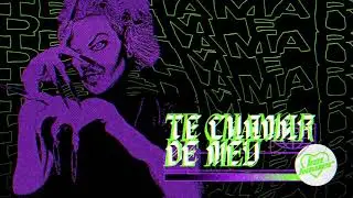 Leo Hainer - te chamar de meu (Áudio Oficial)
