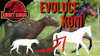 Evoluce KONÍ | Jurský Kanál