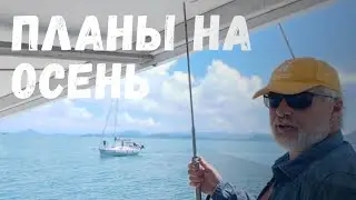 Планы на осень