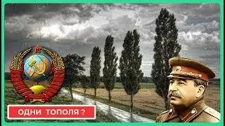 Зачем в СССР Высаживали Одни Тополя ?