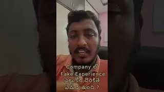 company లో fake experience పెట్టుకోని దొరికితే ఏమవుతుంది ?