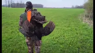 Spring Turkey Hunt - 2 Birds down