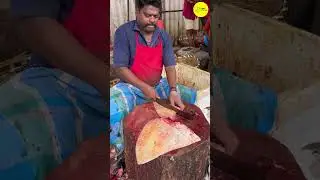 KASIMEDU SPEED SELVAM STINGRAY FISH CUTTING #kasimeduselvam #shorts #bigfishcutting #youtube