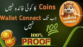 hamster kombat wallet kaise banaye | how to connect hamster kombat to ton wallet | shabeer zone