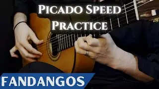 PICADO SPEED Practice on Paco de Lucía's Fandangos (With Sponge)