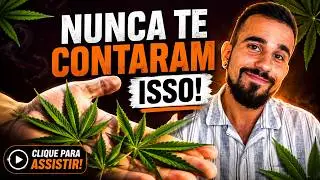 O QUE ACONTECE QUANDO VOCÊ FUMA MACONHA?