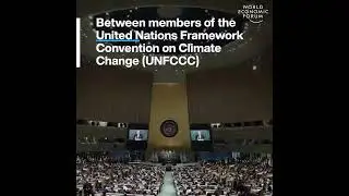 Some key facts about the UN’s annual climate conference.