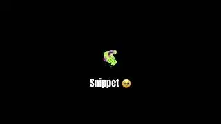 Snippet 