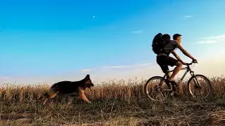 Момент
