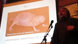 Андрей Гудков 
