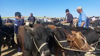 БОКМА БУКАЧАЛАРНИ ЗУРЛАРИ ЧИКДИ КАРШИ КАРВОН МОЛ БОЗОРИДА