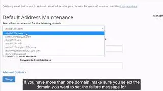 cPanel Email - Setting up a Failure Message