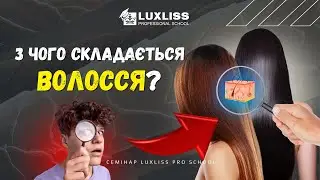 Структура будови волосся. Семінари Luxliss Pro School