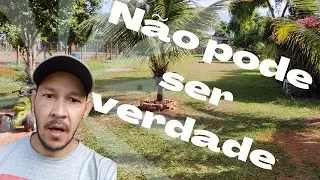 Não acredito que isso aconteceu comigo....