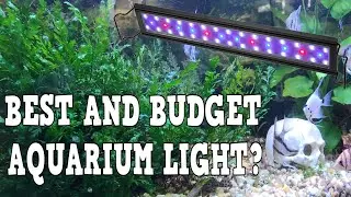 Can The Best Light Be A Budget Light? Hygger LED Aquarium Light Review