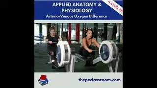 AQA A Level PE A  VO2 Diff