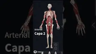 Complete Anatomy