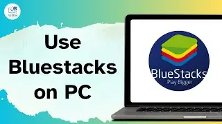 How To Use Bluestacks on PC