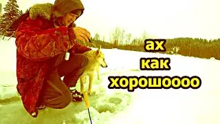 Февральская рыбалка в лесу на реке. Красоты февраля в тайге.