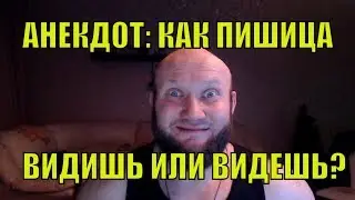 Анекдот: Каг пишеца - видишь или видешь?