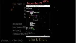 Create a Simple Animated Turtle Race Using Python Turtle 