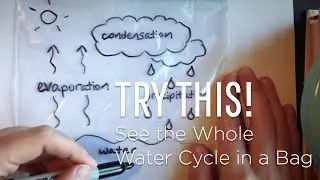 Try This: See the Water Cycle in a Bag | 