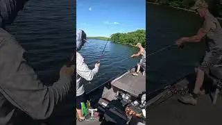 Nice smallmouth smashes zoom fluke #fish #fishing #nature #outdoors #bass #shorts #reels #nj