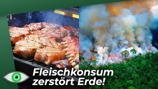 Das große Fressen: Wie unser Fleischkonsum die Erde zerstört! - Clixoom nature