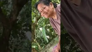 mama sayang