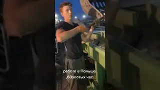 Польский начальник ругает рабочих матом, курва лес заебали (kurwa les zaebali) работа в польше 60