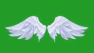 green screen angel wings video effects