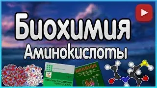 Biochemistry. Lecture 1. Amino Acids