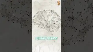 How Much Information Can You Fit Into Your Brain? #shorts  #memorization
