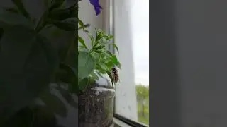 ❤️ Обожаю эту песню ❤️ 