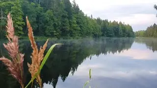 ASMR CAMPING napaka ganda ng lugar