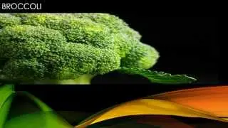 Must Have Foods for Body Need