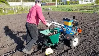With a walk-behind tractor with cutters, I leveled the plowing of the tractor and planted POTATOES!