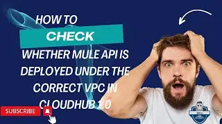 How to Identify Whether Mule API is deployed Under the Correct VPC in Anypoint Platform